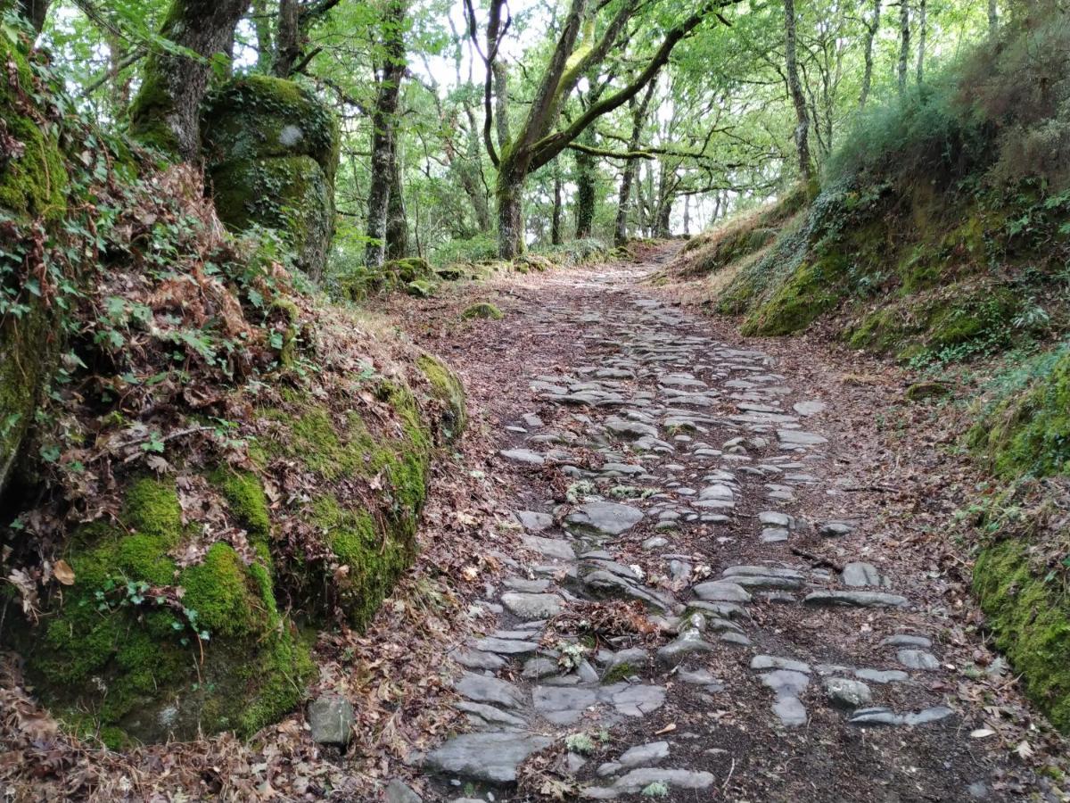 Diomondi Casa Darioゲストハウス エクステリア 写真